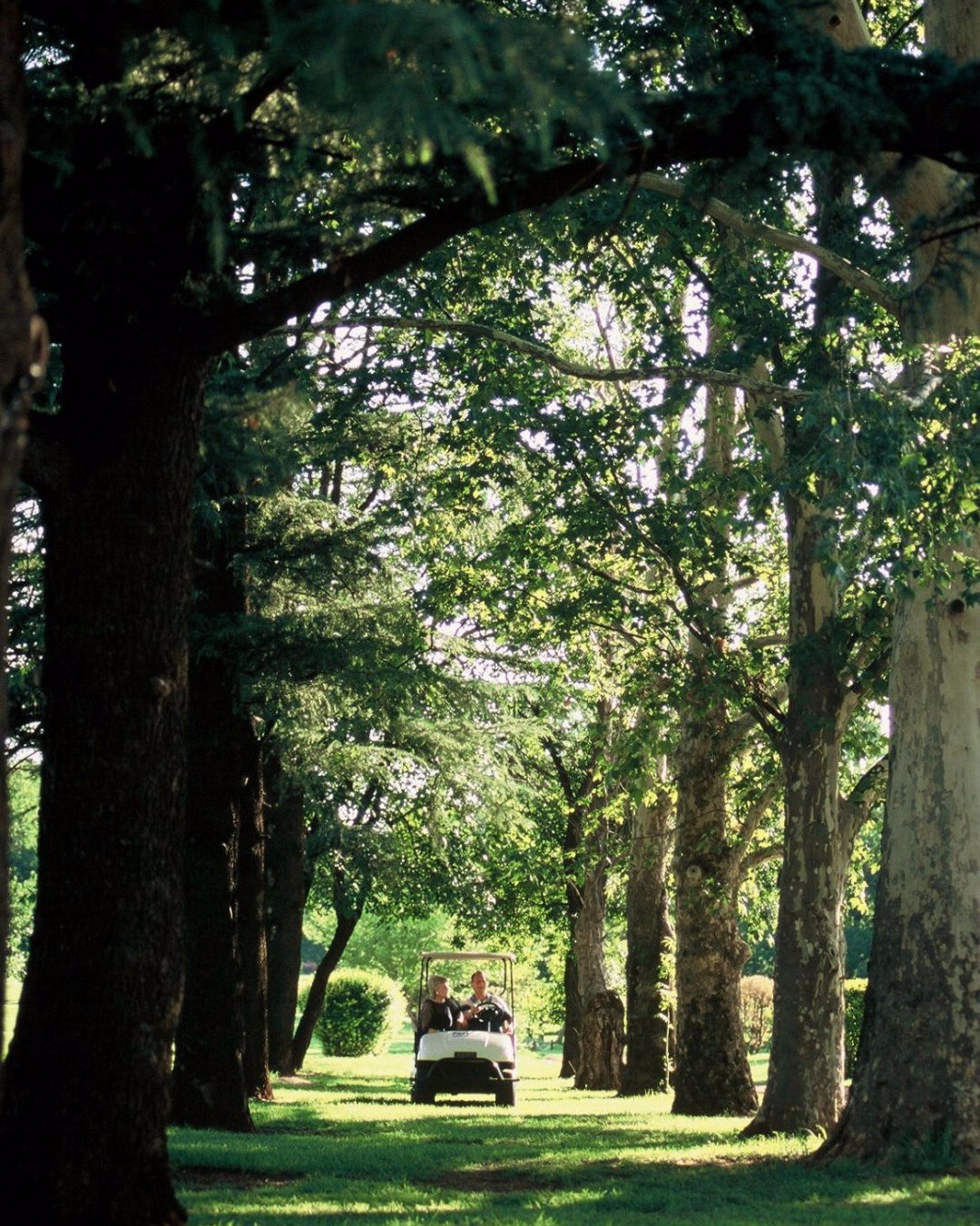 Mobirise